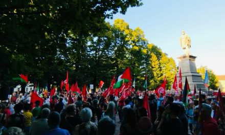 Mille persone in piazza per Gaza