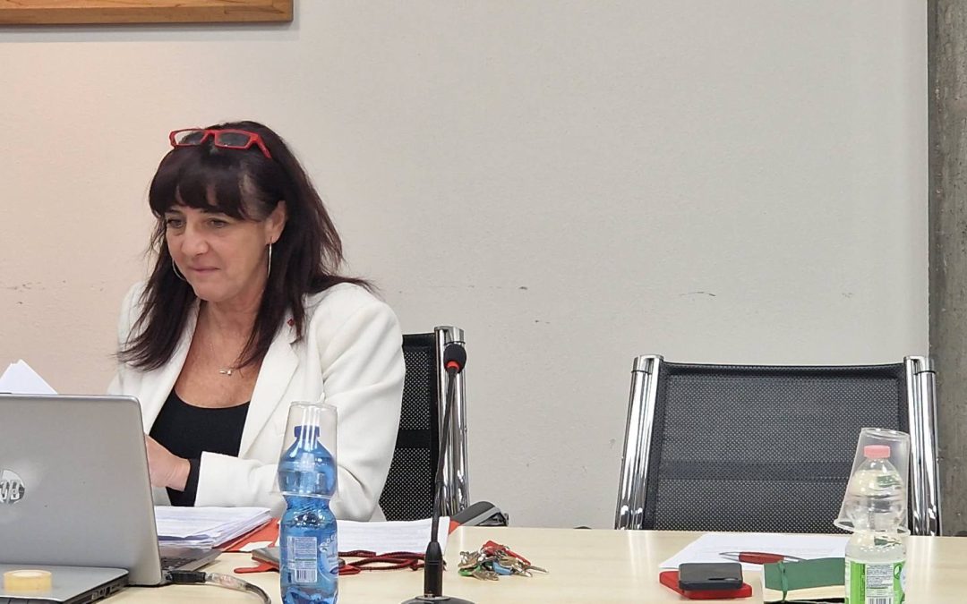 Legge di iniziativa popolare sulla sanità pubblica, la segretaria nazionale Daniela Barbaresi presenta la proposta a Mantova